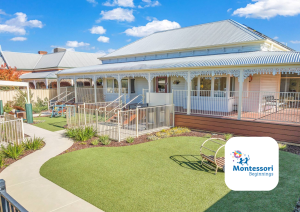 Montessori Beginnings